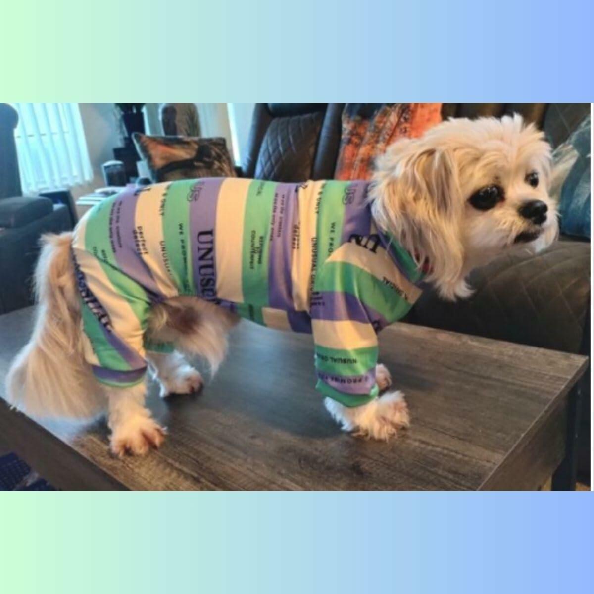 Dream Dog 16.5Designer Luxury Fashion Dog Pajamas Shirt Outfit, Cat Clothes Apparel, Multi-Color Stripe Unusual Design, Green, Orange and Rose Red, Small Breeds, Small to XX-Large (Rose Red, Large)