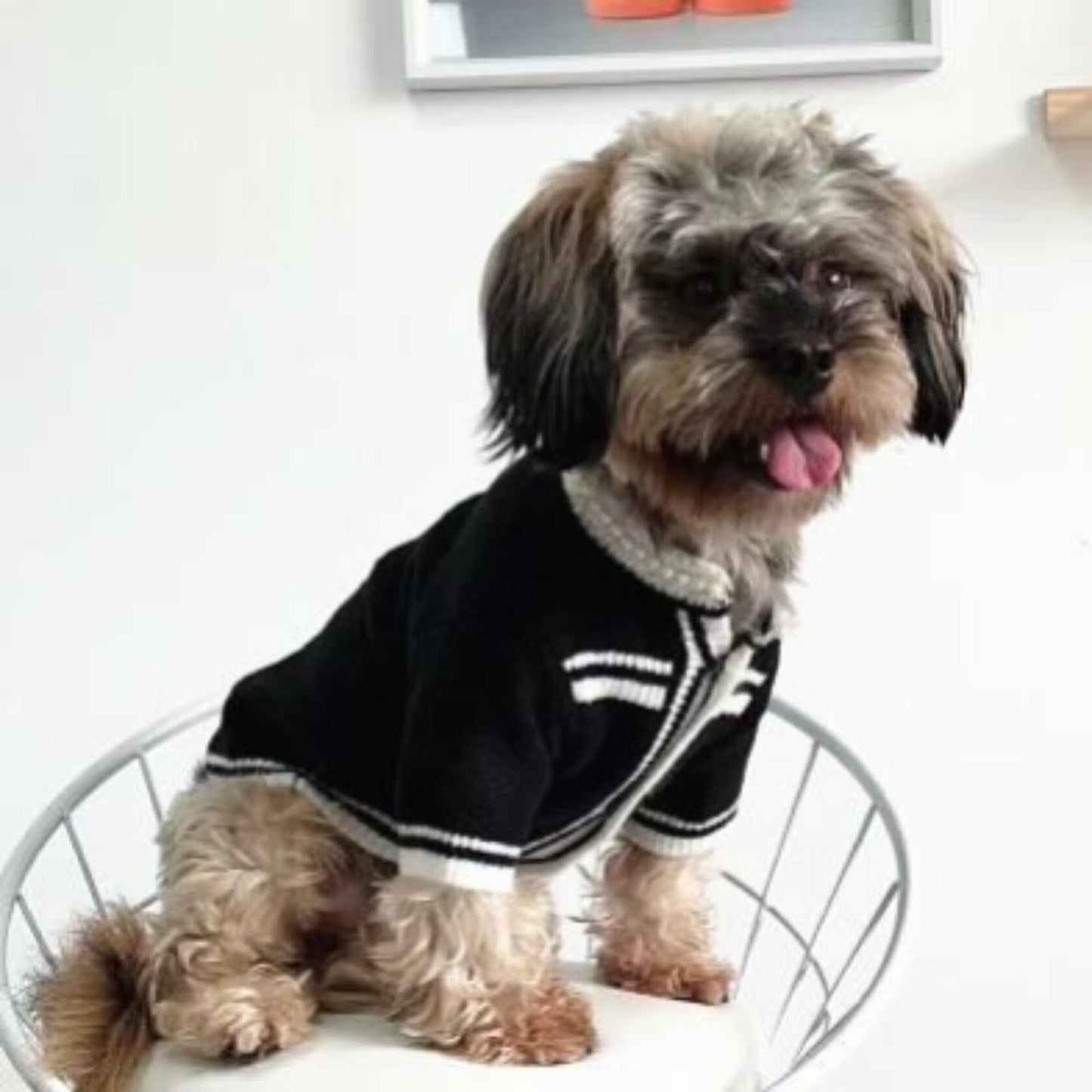 Dream Dog, Small Breed Only - Luxury Sweater - XS to XL - Black and White Sweaters with Pearls, Pet Cat Dog Clothes, Super Cute & Soft