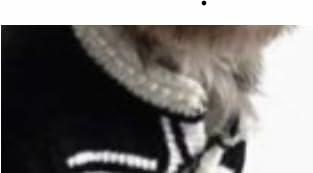 Dream Dog, Small Breed Only - Luxury Sweater - XS to XL - Black and White Sweaters with Pearls, Pet Cat Dog Clothes, Super Cute & Soft