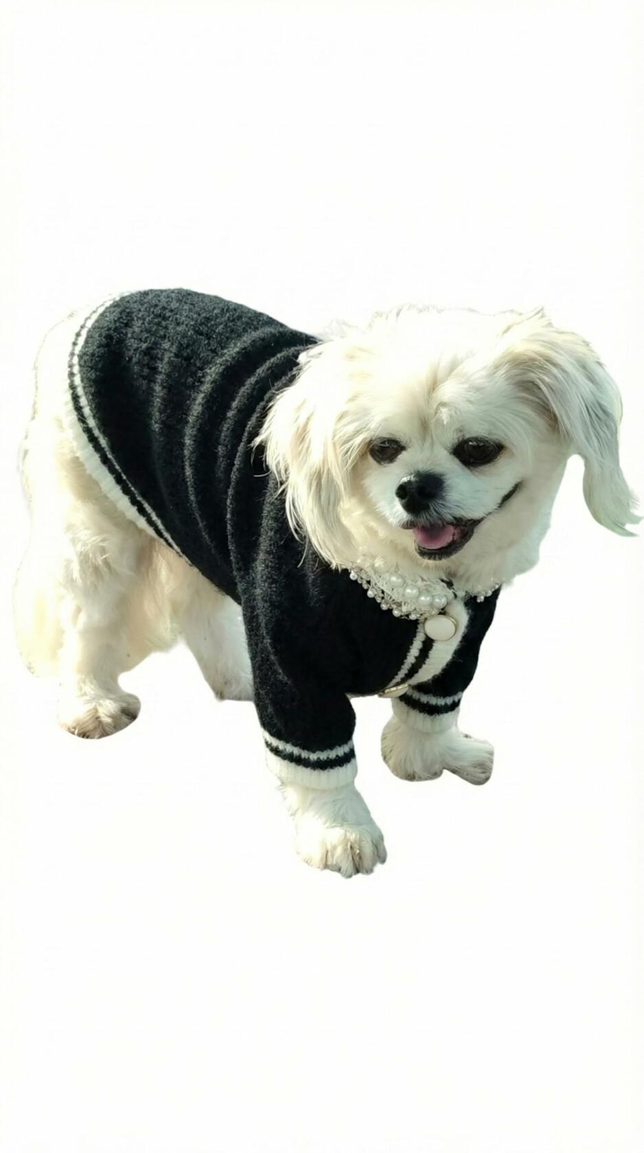 Dream Dog, Small Breed Only - Luxury Sweater - XS to XL - Black and White Sweaters with Pearls, Pet Cat Dog Clothes, Super Cute & Soft
