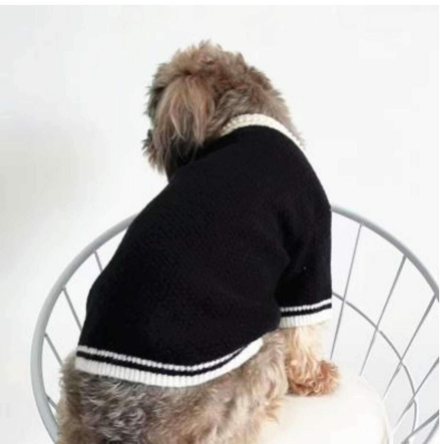 Dream Dog, Small Breed Only - Luxury Sweater - XS to XL - Black and White Sweaters with Pearls, Pet Cat Dog Clothes, Super Cute & Soft