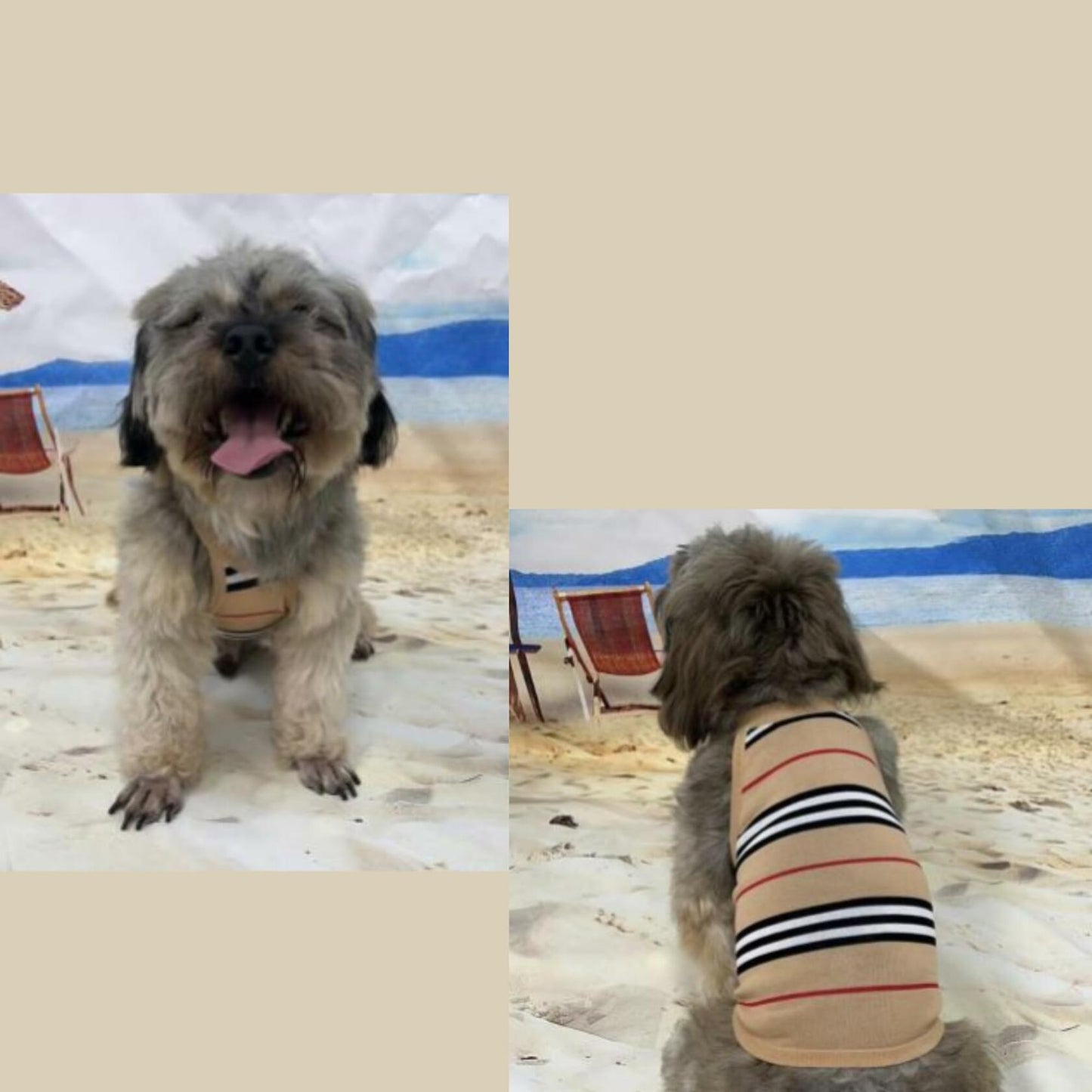 Dream Dog Small Breed - XS to 2XL - Luxury Sweater Vest, Cat, Pet, Dog Clothes, Super Soft Vest, Summer Winter Dog Apparel Beige Stripe